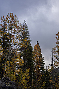 Caples_PH22_IMG_6151.jpg