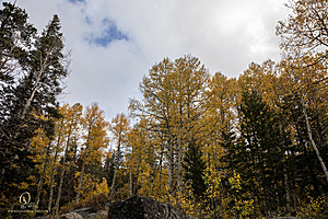 Caples_PH22_IMG_6186.jpg