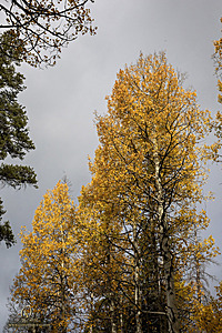 Caples_PH22_IMG_6271.jpg