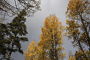 Caples_PH22_IMG_6280.jpg