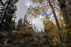 Caples_PH22_IMG_6435.jpg