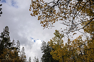 Caples_PH22_IMG_6449.jpg