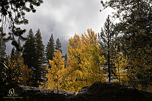 Caples_PH22_IMG_6500.jpg