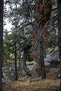 Caples_PH22_IMG_6544.jpg