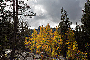 Caples_PH22_IMG_6584.jpg