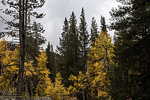 Caples_PH22_IMG_6648.jpg