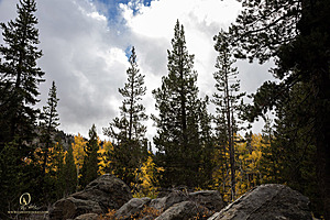 Caples_PH22_IMG_6653.jpg