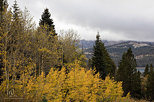Caples_PH22_IMG_6756.jpg