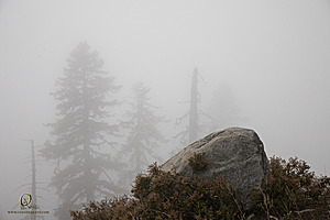 EG_PH22_IMG_5738.jpg