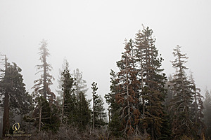 EG_PH22_IMG_5750.jpg