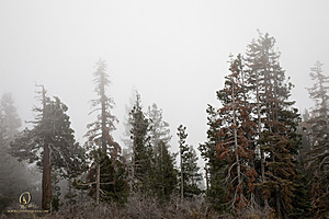 EG_PH22_IMG_5759.jpg
