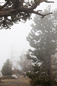 EG_PH22_IMG_5767.jpg