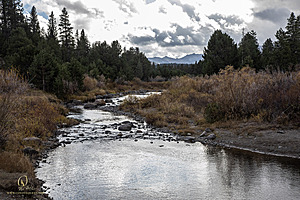 HV_PH22_IMG_7853.jpg