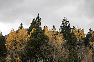 HV_PH22_IMG_7873.jpg