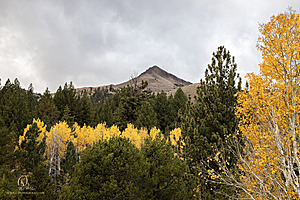 HV_PH22_IMG_7879.jpg