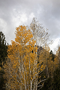 HV_PH22_IMG_7900.jpg