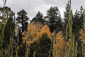 HV_PH22_IMG_7959.jpg