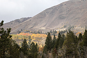 HV_PH22_IMG_8060.jpg