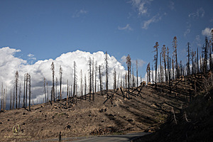 HV_PH22_IMG_8162.jpg