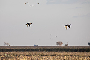 SI_PH22_IMG_9189.jpg