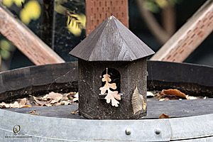 SacZoo_PH23_IMG_2869-Enhanced-NR.jpg