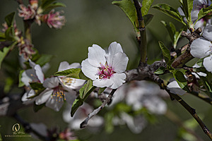RF_PH22_IMG_8075.jpg