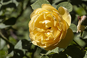 085FBF_PH22_IMG_8873_2.jpg