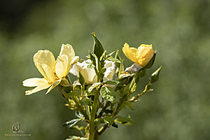 TR_PH22_IMG_4289.jpg