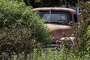 TR_PH22_IMG_9991.jpg