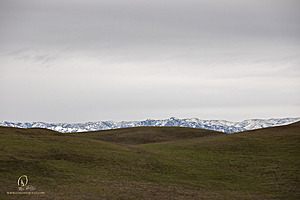BF_PH23_IMG_3848.jpg