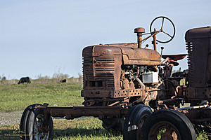 CF_PH23_IMG_5421.jpg