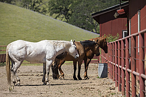 YLC_PH23_IMG_7499.jpg