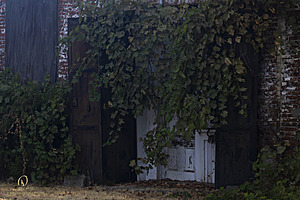 Filename=PF_PH23_3X8A8891-Enhanced-NR.jpg
Filesize=313KiB
Dimensions=1200x800
Date added=Oct 22, 2023 PF_PH23_3X8A8891-Enhanced-NR.jpg