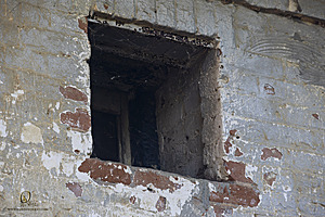 PF_PH23_3X8A9017-Enhanced-NR.jpg
