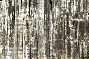 Filename=PF_PH23_3X8A9374-Enhanced-NR.jpg
Filesize=579KiB
Dimensions=1200x800
Date added=Oct 22, 2023 PF_PH23_3X8A9374-Enhanced-NR.jpg