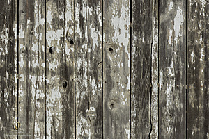 Filename=PF_PH23_3X8A9376-Enhanced-NR.jpg
Filesize=518KiB
Dimensions=1200x800
Date added=Oct 22, 2023 PF_PH23_3X8A9376-Enhanced-NR.jpg