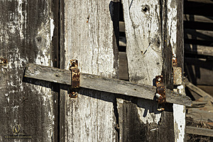 Filename=PF_PH23_3X8A9402-Enhanced-NR.jpg
Filesize=560KiB
Dimensions=1200x800
Date added=Oct 22, 2023 PF_PH23_3X8A9402-Enhanced-NR.jpg