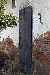 PF_PH23_3X8A9678-Enhanced-NR.jpg
