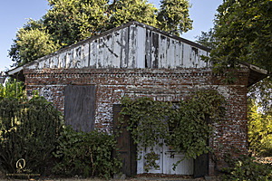 PF_PH23_3X8A9711-Enhanced-NR.jpg