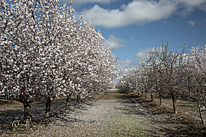 MNC_PH24_IMG_3133-Enhanced-NR.jpg