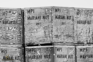 MNC_PH24_IMG_8845-Enhanced-NR.jpg