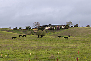 AF_PH24_IMG_1477-Enhanced-NR.jpg
