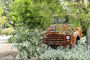 Filename=PW_PH24_IMG_5262-Enhanced-NR.jpg
Filesize=822KiB
Dimensions=1200x800
Date added=Jun 01, 2024 PW_PH24_IMG_5262-Enhanced-NR.jpg