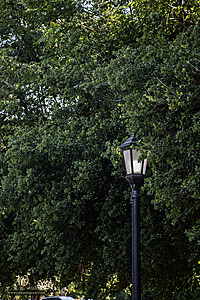 Filename=CLBL_PH23_IMG_5509-Enhanced-NR.jpg
Filesize=674KiB
Dimensions=800x1200
Date added=Jun 01, 2024 CLBL_PH23_IMG_5509-Enhanced-NR.jpg