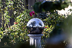 Filename=YATK_PH24IMG_0555-Enhanced-NR.jpg
Filesize=370KiB
Dimensions=1200x800
Date added=Oct 05, 2024 YATK_PH24IMG_0555-Enhanced-NR.jpg