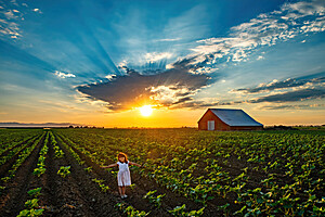 Filename=GirlandBarn.jpg
Filesize=430KiB
Dimensions=1200x800
Date added=May 04, 2025 GirlandBarn.jpg